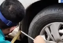 Be Careful in Rainy Season! Snake Found inside Bank Manager’s Car in Ludhiana