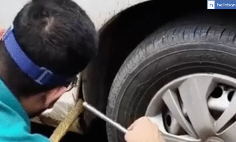 Be Careful in Rainy Season! Snake Found inside Bank Manager’s Car in Ludhiana
