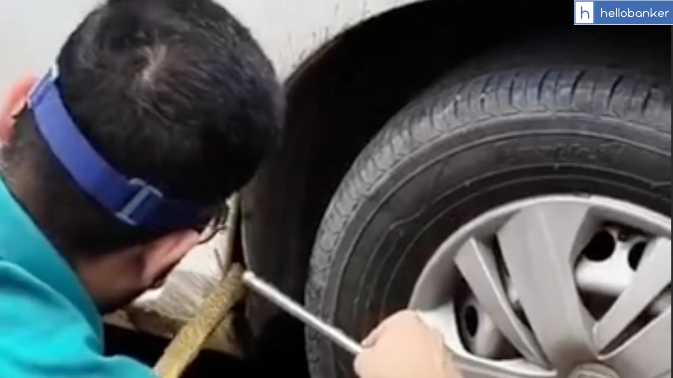 Be Careful in Rainy Season! Snake Found inside Bank Manager’s Car in Ludhiana