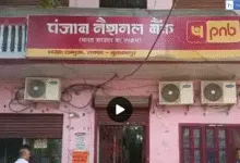 Bull entered Punjab National Bank branch in Lambhua Sultanpur UP