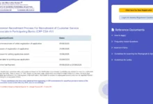 IBPS Clerk CRP-XV Recruitment 2025 Notification Released and Apply Online for 10277 Posts