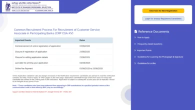 IBPS Clerk CRP-XV Recruitment 2025 Notification Released and Apply Online for 10277 Posts