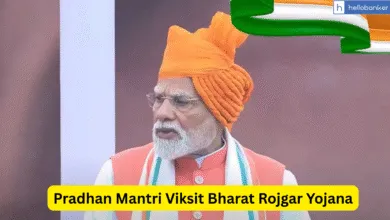Pradhan Mantri Viksit Bharat Rojgar Yojana, Download PDF, How to Apply Online