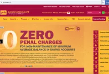 Punjab National Bank migrates to pnb.bank.in Domain