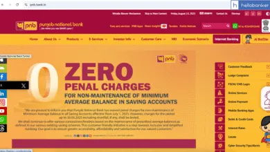 Punjab National Bank migrates to pnb.bank.in Domain