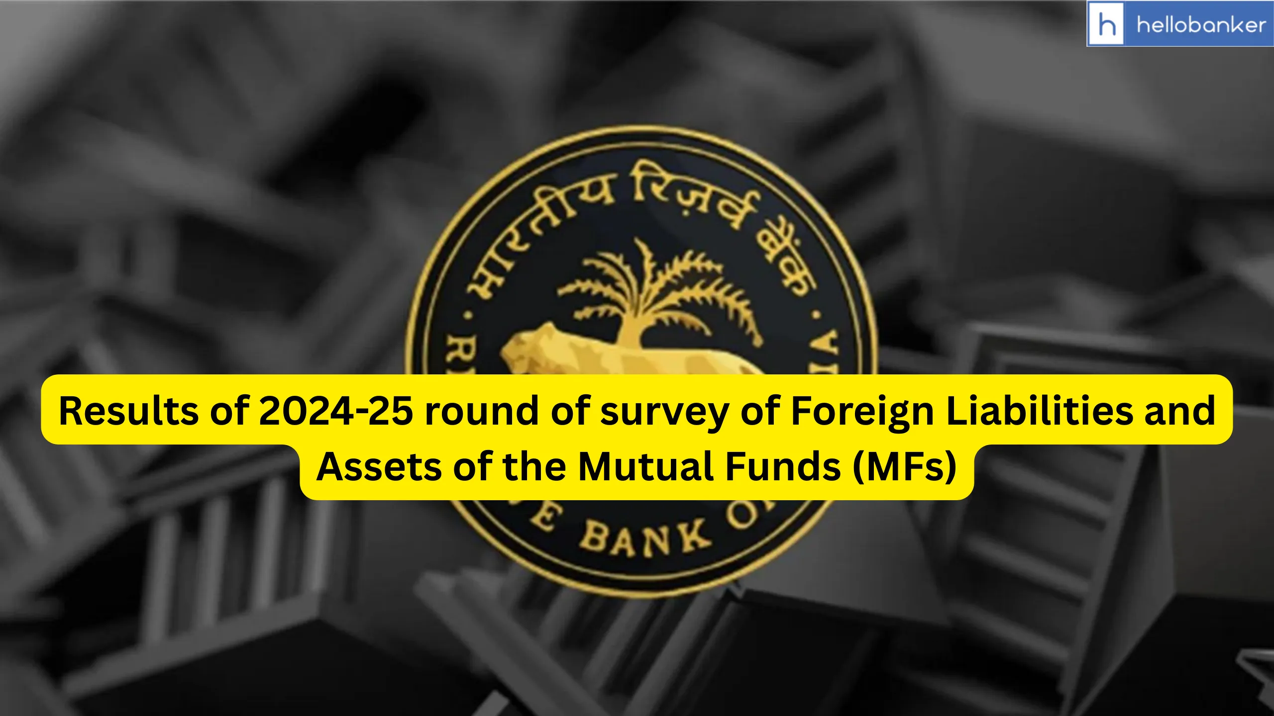 Results of 2024-25 round of survey of Foreign Liabilities and Assets of the Mutual Funds (MFs)