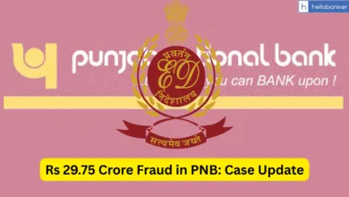 Rs 29.75 Crore Fraud in PNB, Properties worth Rs 12.79 Crore returned by ED