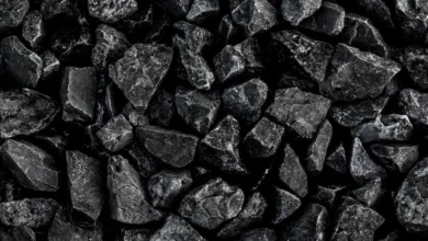 Coal