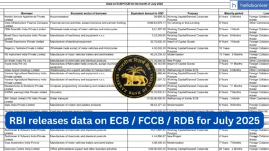 RBI releases data on ECB / FCCB / RDB for July 2025