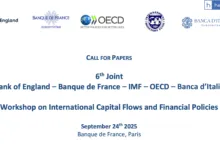 Workshop on International Capital Flows and Financial Policies