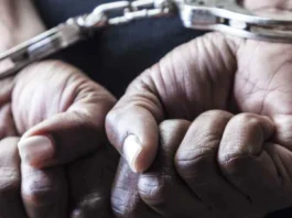 Bank Cashier Arrested in Pataudi for Stealing ₹14.82 Lakh and CCTV DVR