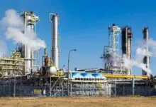 Details of Bank Loan Default by Dharani Sugars and Chemicals Limited