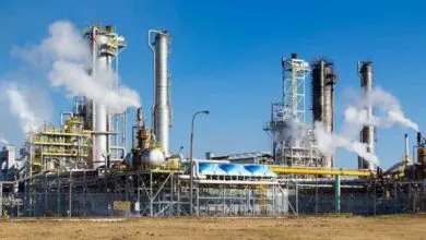 Details of Bank Loan Default by Dharani Sugars and Chemicals Limited