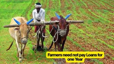 Farmers need not pay Loans for one Year, Maharashtra Govt announces Relief for Farmers