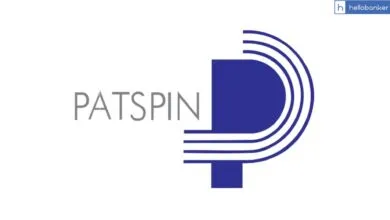 Loan Default by Patspin India Ltd; Know Bank Wise Default Amount
