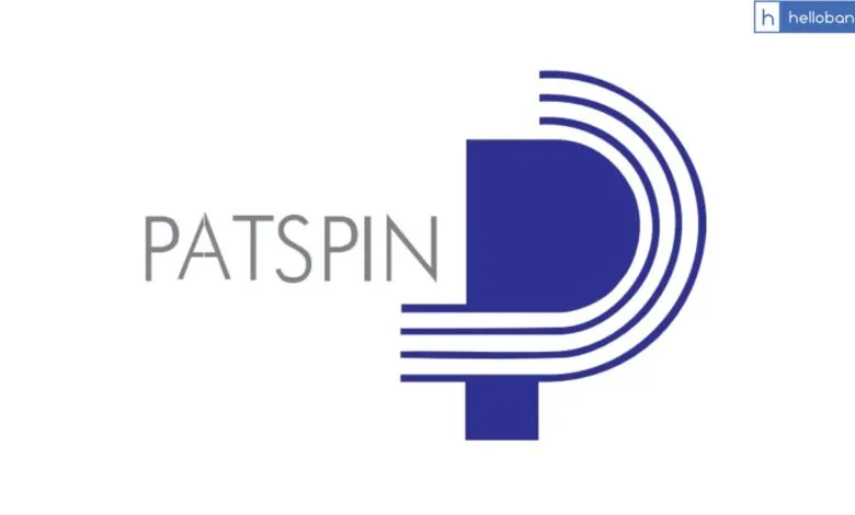 Loan Default by Patspin India Ltd; Know Bank Wise Default Amount