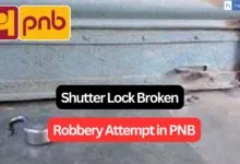 Shutter Locks Broken! Robbery Attempt at PNB Bank in Mandi Himachal Pradesh