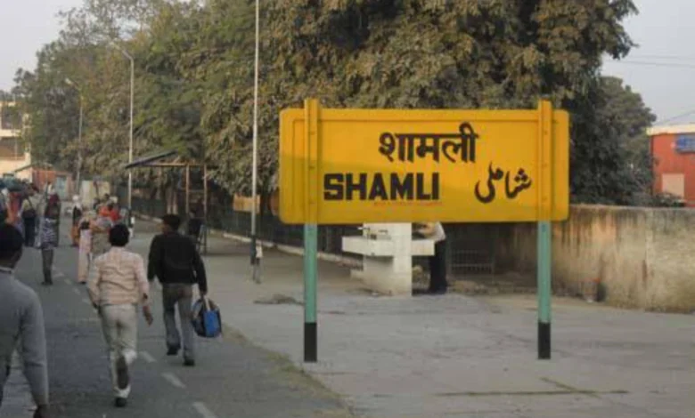 Shamli