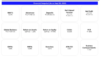 Indian Overseas Bank Financial Snapshot