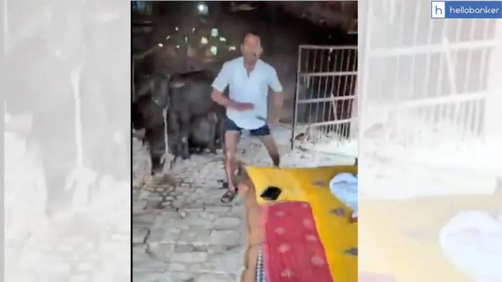 Bank Employee beaten with Stick by Loan Borrower in Uttar Pradesh