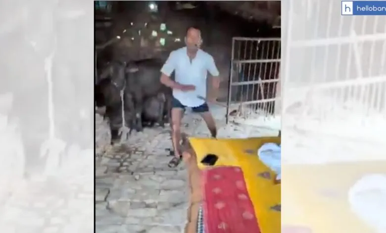 Bank Employee beaten with Stick by Loan Borrower in Uttar Pradesh