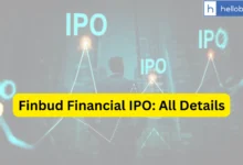 Finbud Financial IPO Last Date, Price & Prospectus PDF