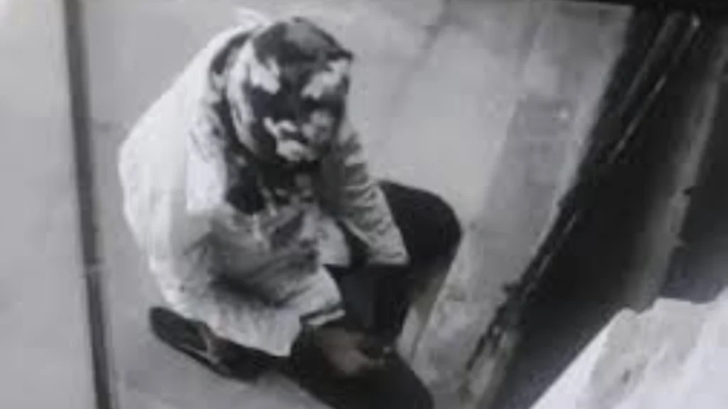 Thief Steals Gun and Cartridges From SBI Bank in Bikaner After Failing to Take Cash