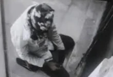 Thief Steals Gun and Cartridges From SBI Bank in Bikaner After Failing to Take Cash