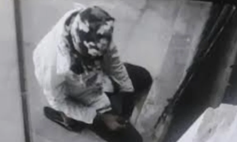 Thief Steals Gun and Cartridges From SBI Bank in Bikaner After Failing to Take Cash