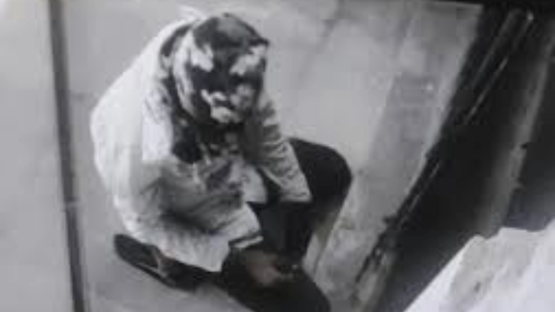 Thief Steals Gun and Cartridges From SBI Bank in Bikaner After Failing to Take Cash