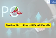 Mother Nutri Foods IPO Last Date, Price & Prospectus PDF
