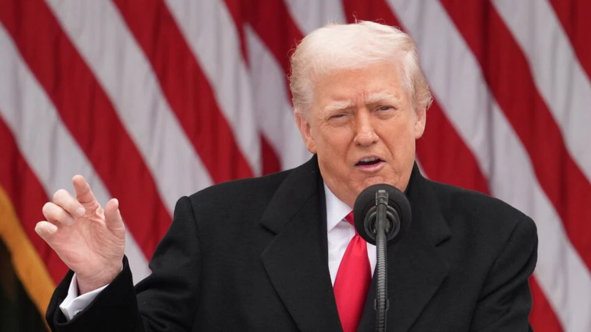 Trump Administration Buys Stakes in Key Private Firms to Boost National Security