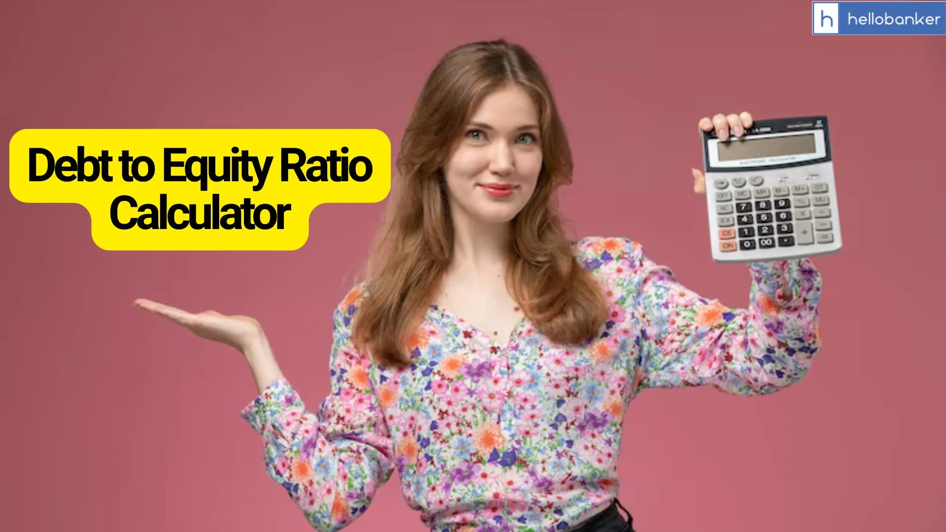 Debt to Equity Ratio Calculator
