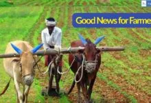 Good News for Farmers! Banks in Maharashtra asked not to recover Loans from Farmers, Govt may waive off Loans