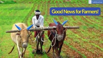 Good News for Farmers! Banks in Maharashtra asked not to recover Loans from Farmers, Govt may waive off Loans