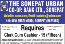 Sonepat (Haryana) Urban Co-operative Bank Recruitment 2025 Notification PDF Out for Clerk (Cashier) Posts