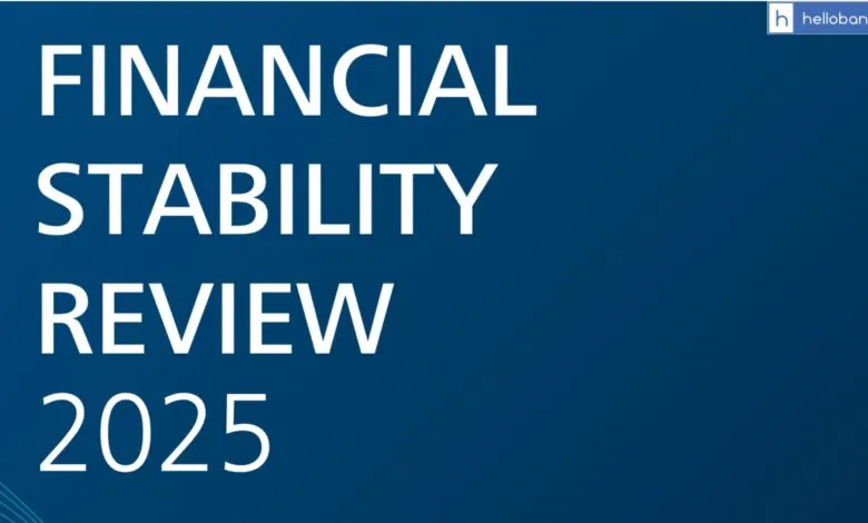 Financial Stability Review 2025, Download Report by Germany