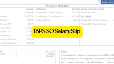 IBPS SO Salary Slip 2025, Latest Basic Pay, Allowances, Job Benefits