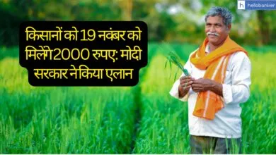 21st PM Kisan Installment to Be Released on November 19; Over 10 Crore Farmers to Receive ₹2,000