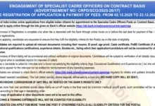 SBI Bank Specialist Officer (SO) Recruitment 2025 Notification Released for 1042 Posts, Apply Online