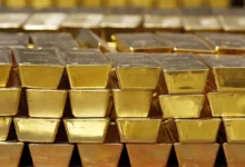 Velachery Police Hunt for Woman Who Left 1.25 Kg Gold Worth ₹1.5 Crore in Bank