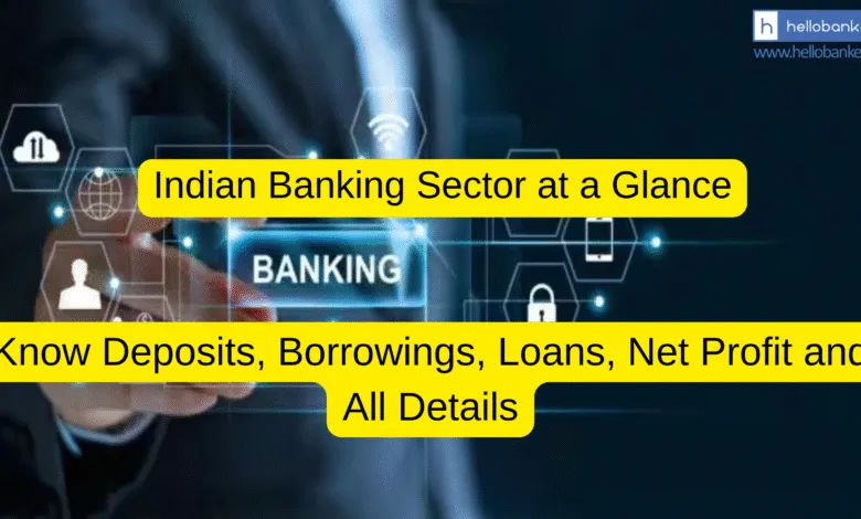 Indian Banking Sector at a Glance: Know Deposits, Borrowings, Loans, Net Profit and All Details