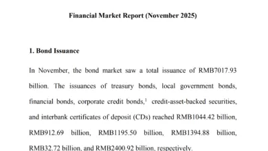 China Financial Market Report (November 2025)