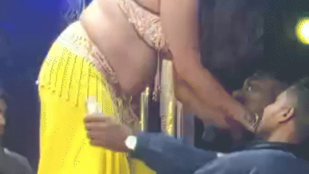 Semi-Naked Dance Video Sparks Outrage in Chhattisgarh, SDM Removed, Police Action Taken