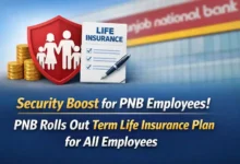 Security Boost for PNB Employees! PNB Rolls Out Term Life Insurance Plan for All Employees