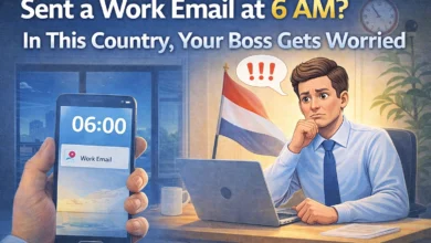 This Country Apologises If You Work Too Much