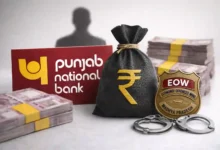 PNB Cheated of Rs 68.60 Lakh! Fake Dairy Project Exposed in Madhya Pradesh