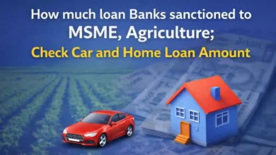 How much loan Banks sanctioned to MSME, Agriculture; Check Car and Home Loan Amount