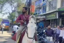 Fuel Shortage Panic in Madhya Pradesh: Bank Employee Rides Horse to Office in Dewas