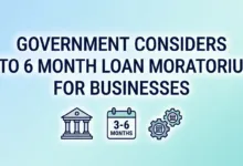 Government Considers 3 to 6 Month Loan Moratorium for Businesses